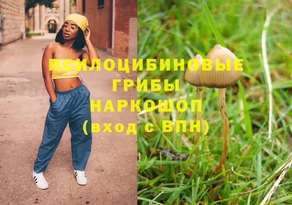 бутират Белокуриха